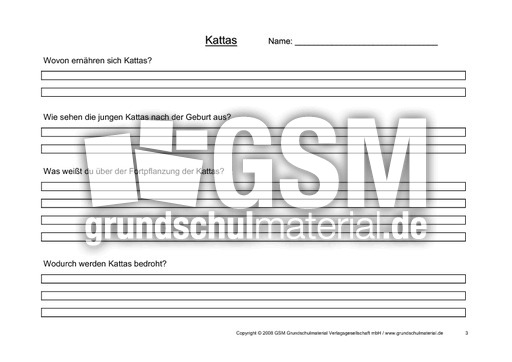 Arbeitsblatt-Kattas-3.pdf